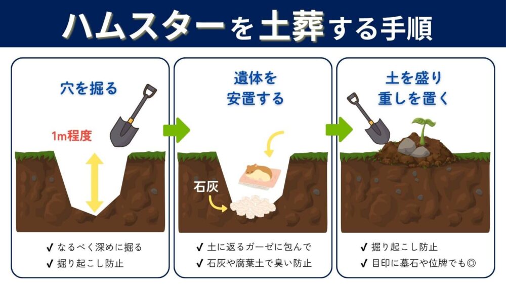 ハムスターを土葬する手順