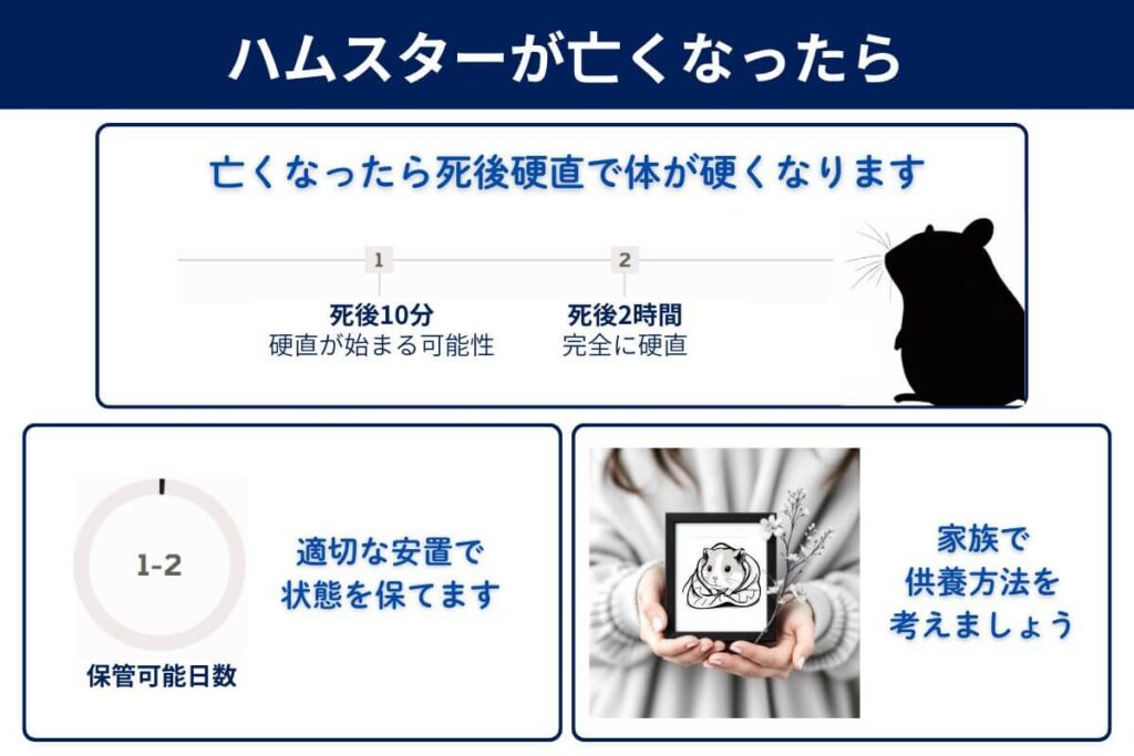 ハムスターが亡くなったらどうすればいい?