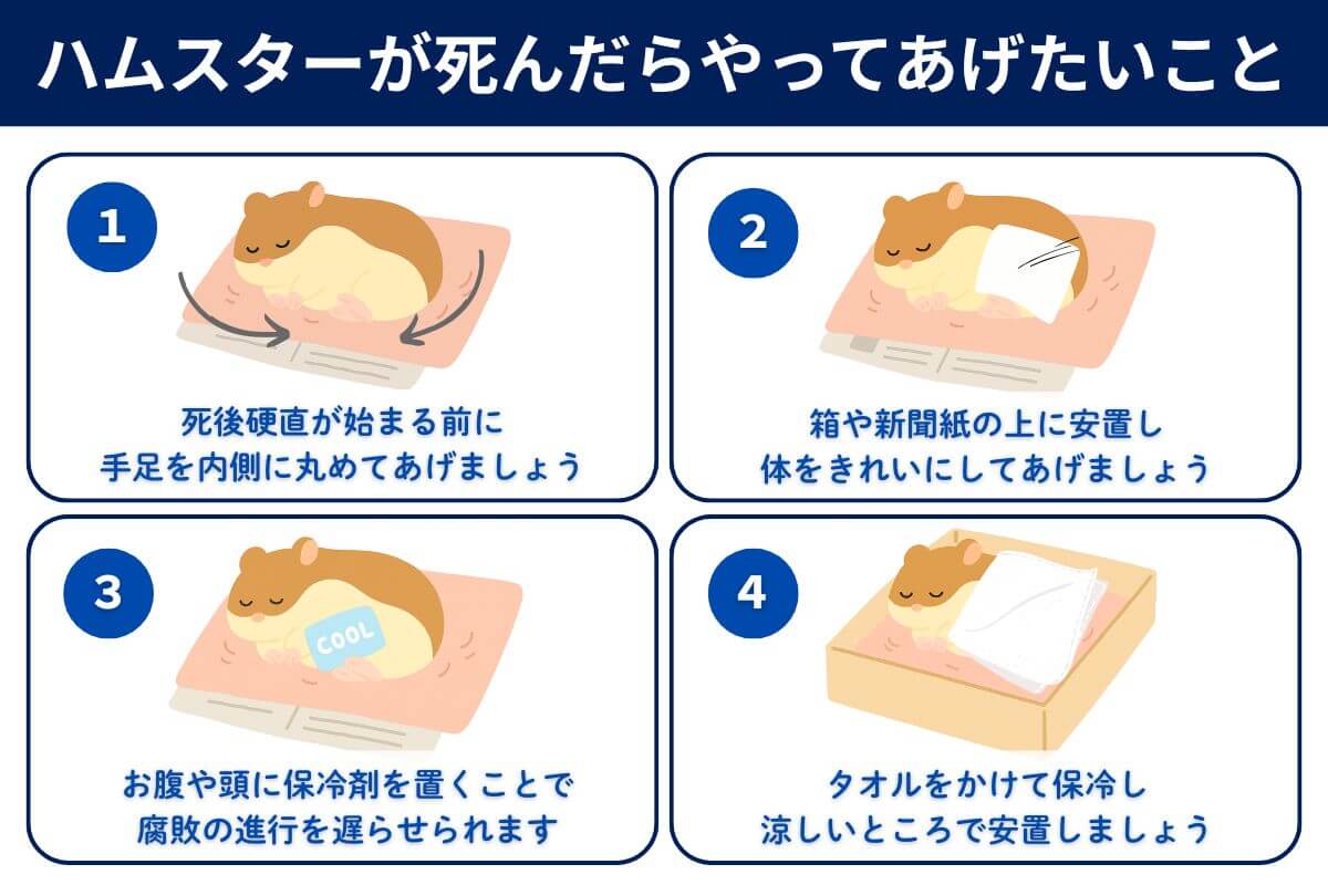ハムスターが死んだらやってあげたいこと