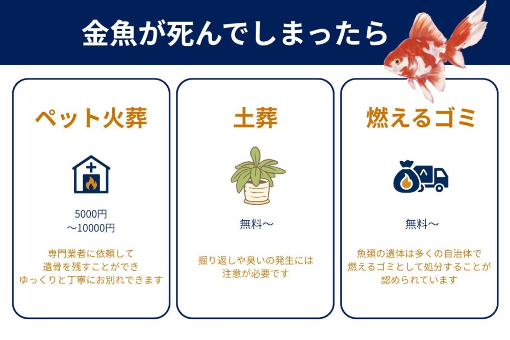 アパートで金魚が死んだらできる3つの供養方法