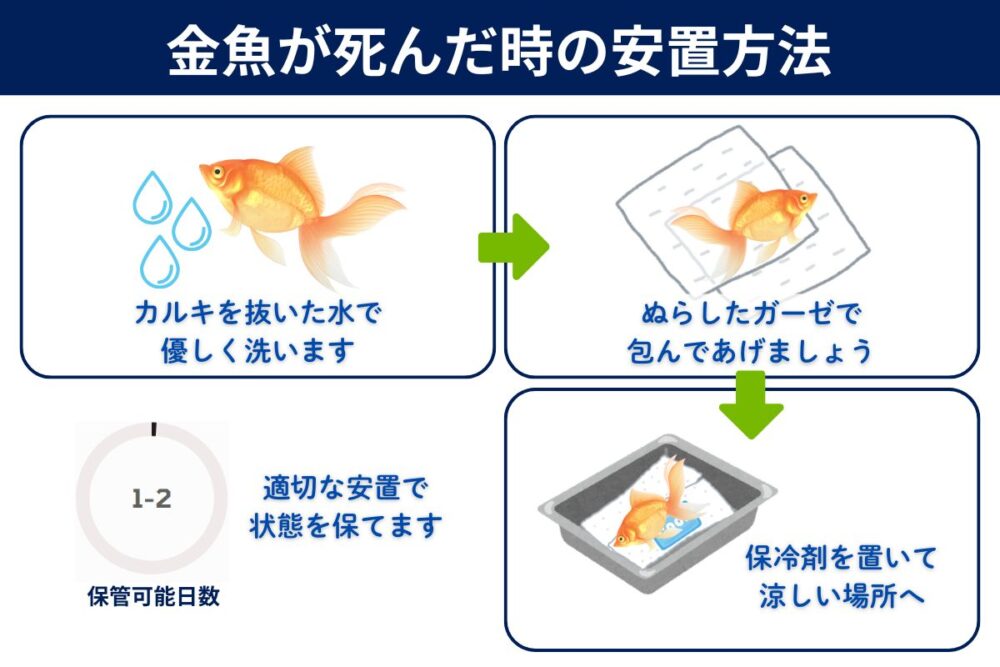 金魚が死んだときの安置方法