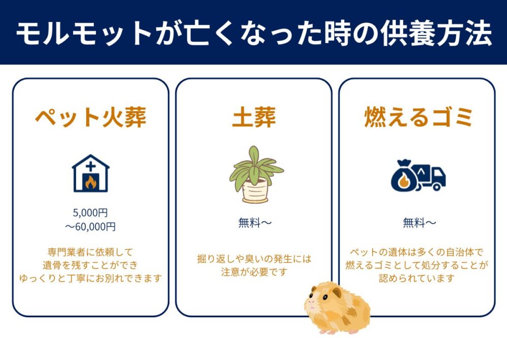 モルモットを供養する３つの方法