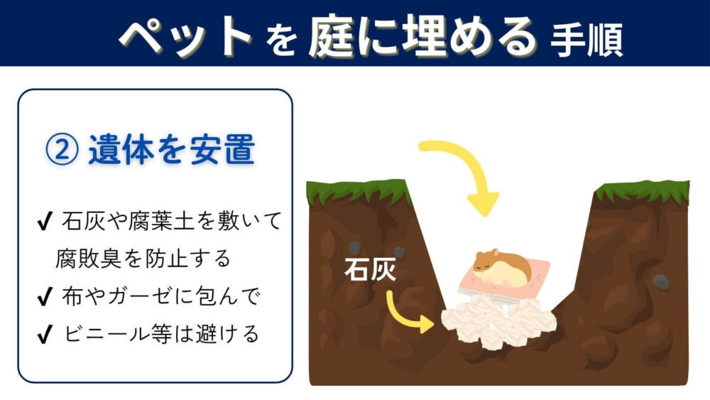 ペットを土に埋める手順②石灰の上に遺体を置く