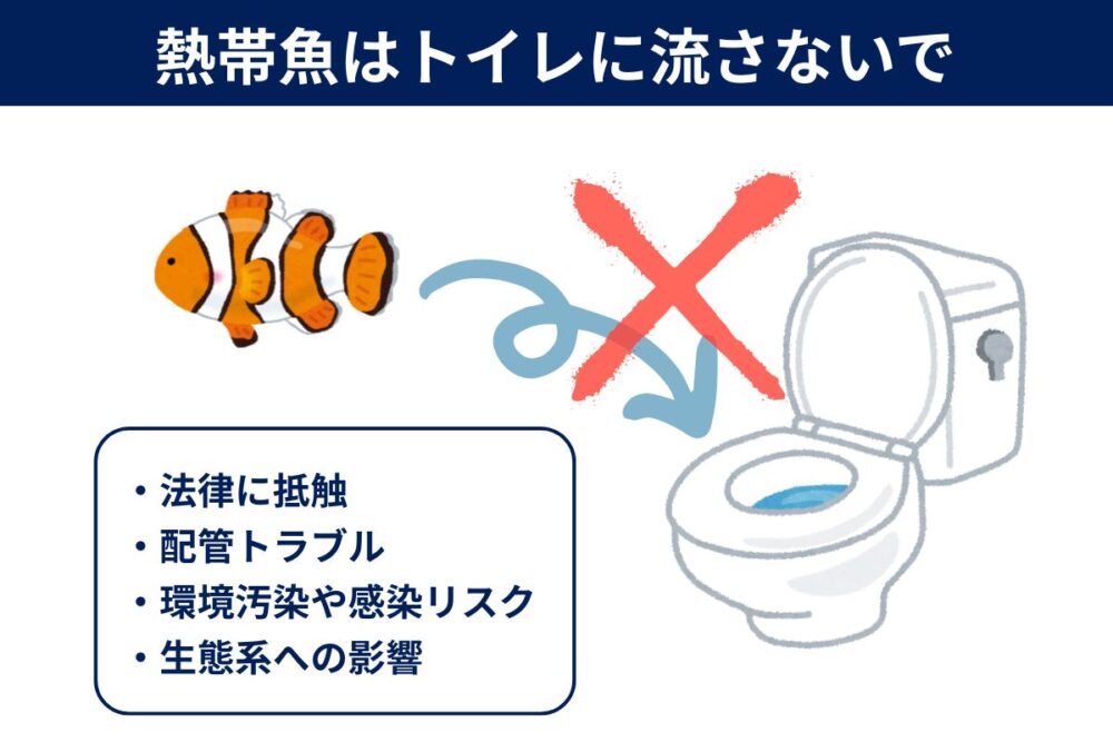熱帯魚が死んでもトイレに流さないで