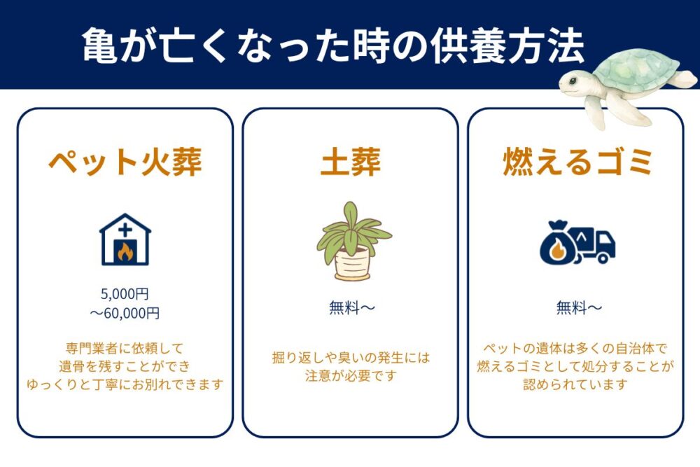 亀が死んだらどうする？３つの処理方法