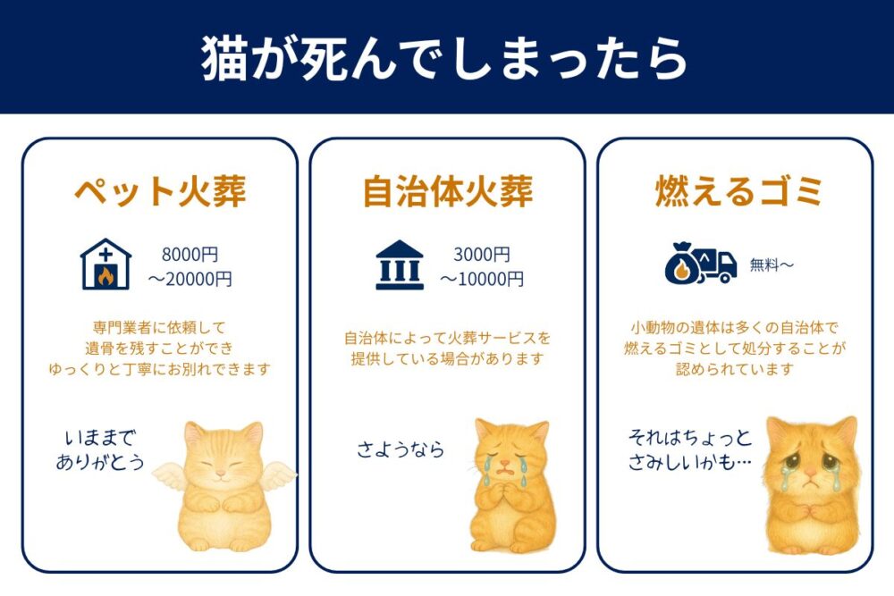 猫が死んだらできる土葬以外の3つの処理方法