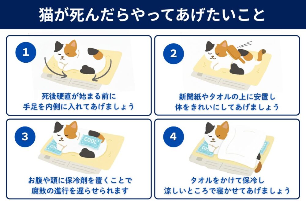 猫が死んだらまずやってあげたいこと