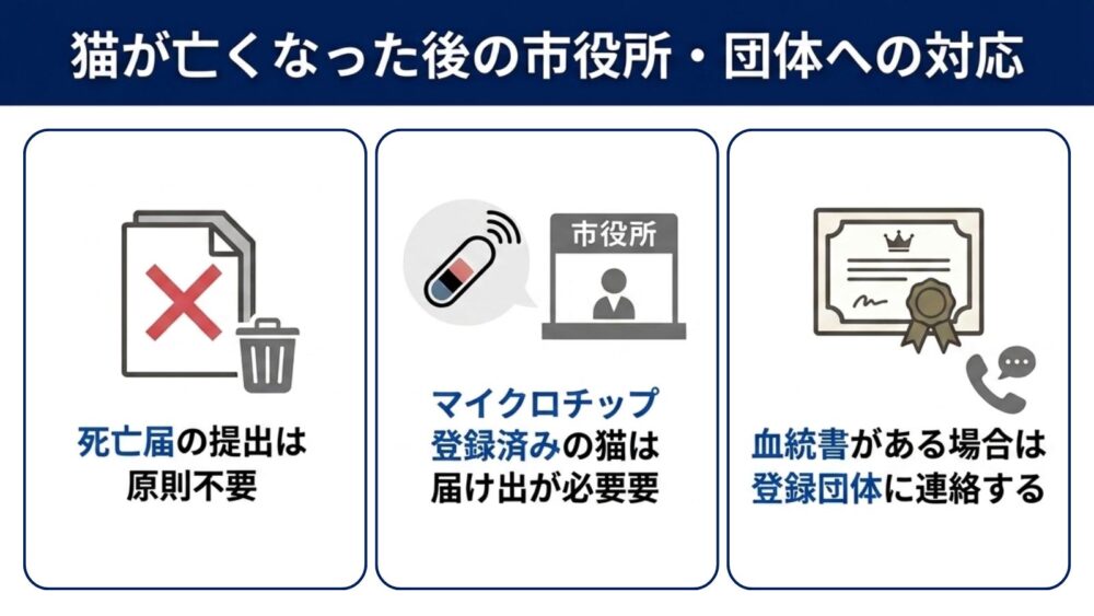 猫が亡くなった後の市役所手続き