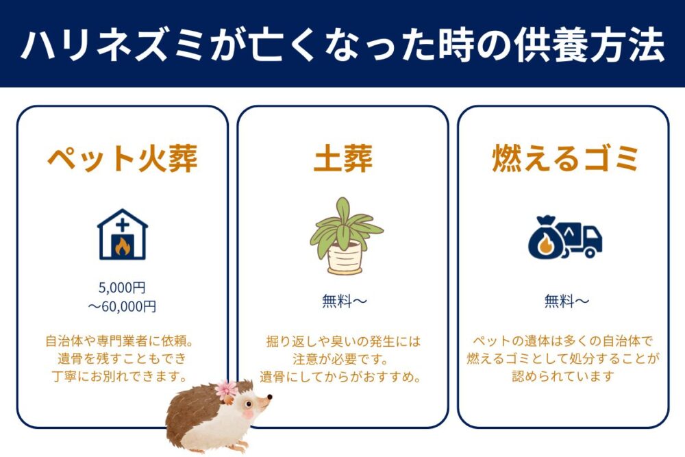 ハリネズミが死んだらできる3つの供養方法