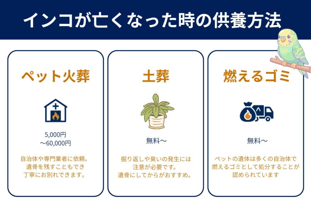 セキセイインコが亡くなったらできる3つの供養方法