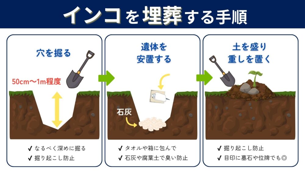 インコを埋葬する手順