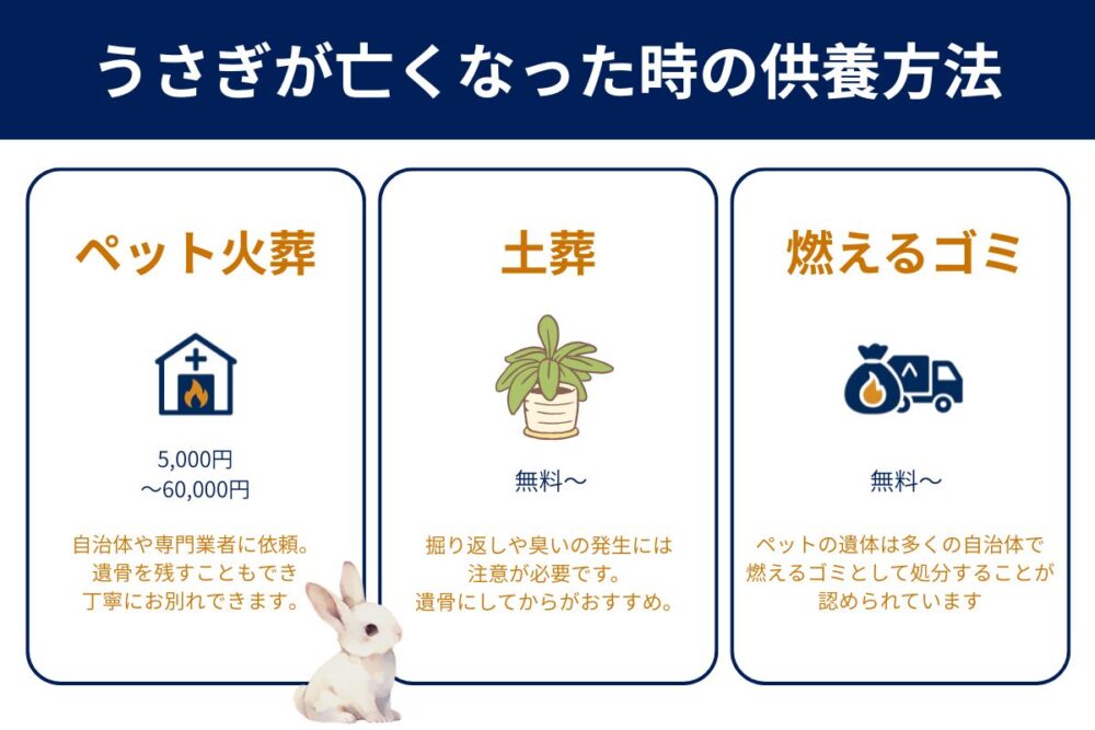 うさぎが死んだときの３つの供養方法