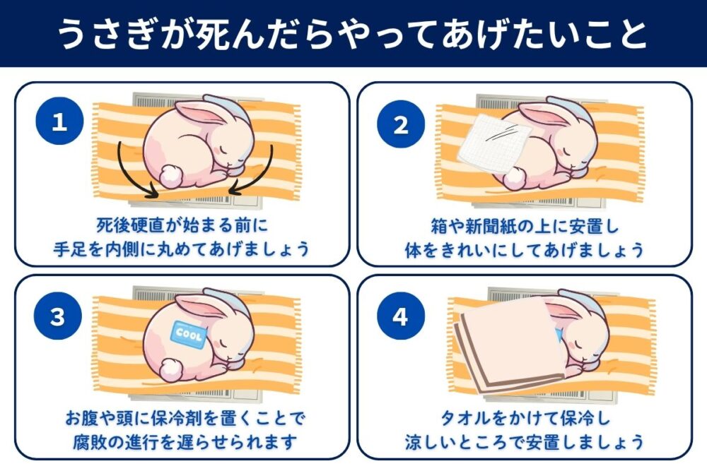 うさぎが死んだらやってあげたいこと