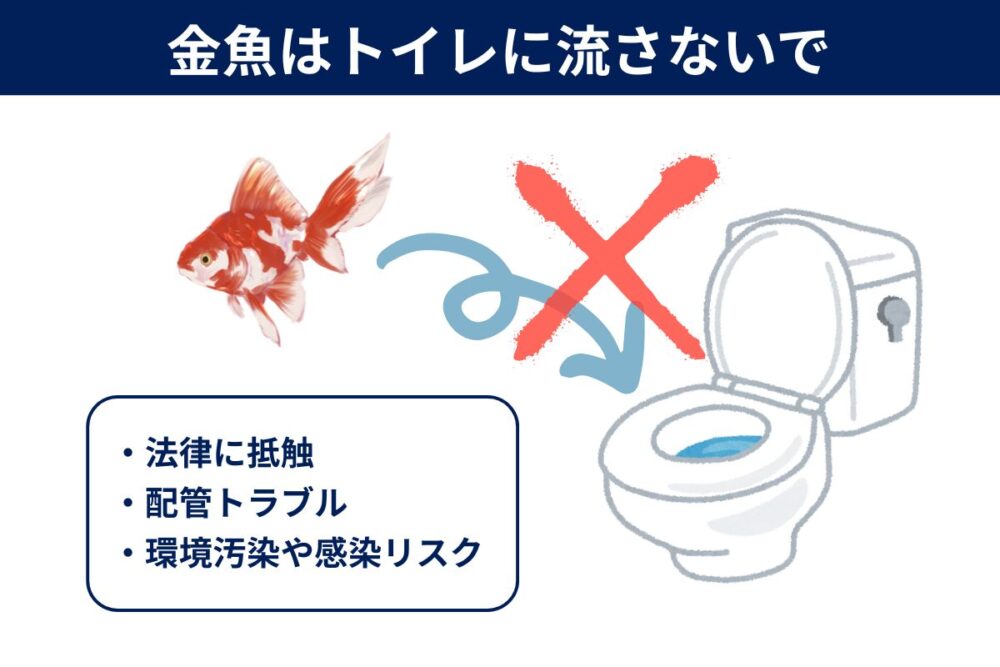 金魚をトイレに流す3つのリスク