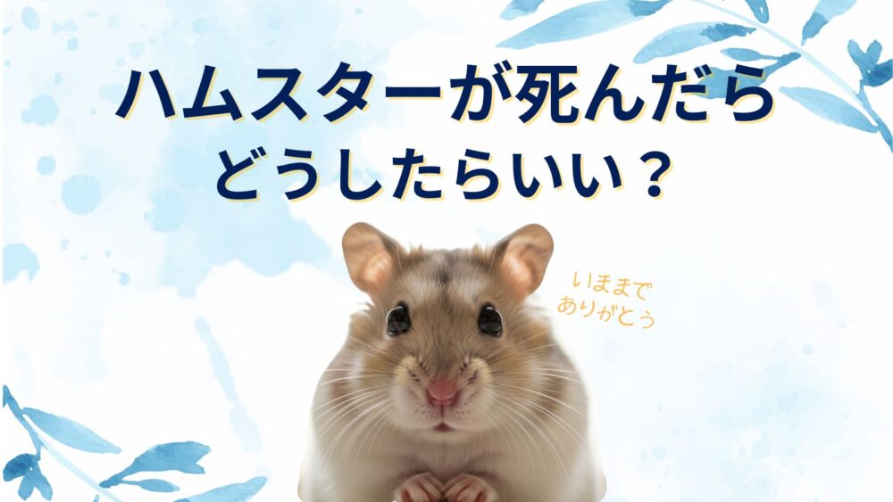 【ハムスターが死んだら】アパートならどうする？プランター葬や土葬は臭いが出てよくない？