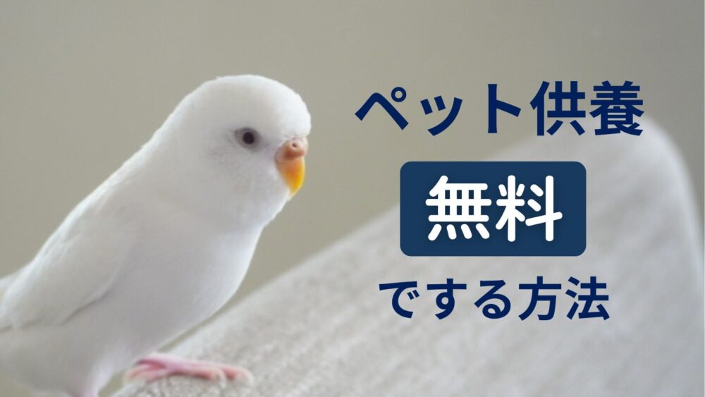 ペット供養を無料でする方法